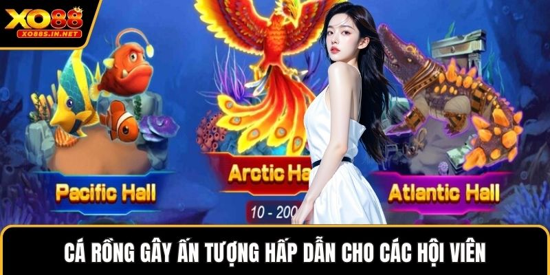 Cá rồng gây ấn tượng hấp dẫn cho các hội viên