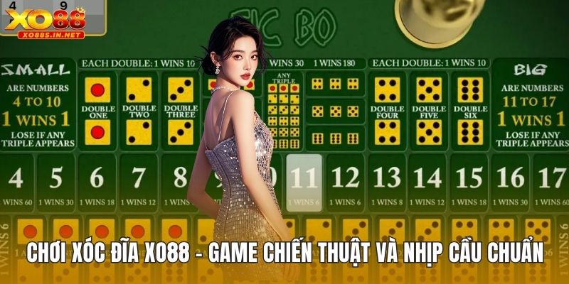 Chơi Xóc Đĩa XO88 -  Game Chiến Thuật Và Nhịp Cầu Chuẩn