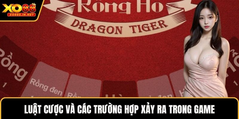 Luật cược và các trường hợp xảy ra trong game
