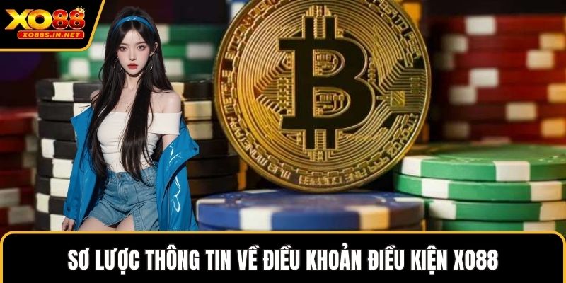 Sơ lược thông tin về điều khoản điều kiện XO88